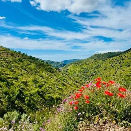 La Mimosa, Beautiful With Swimming Pool And Sea View