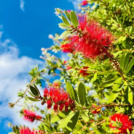 La Mimosa, Beautiful With Swimming Pool And Sea View Vila Casabermeja